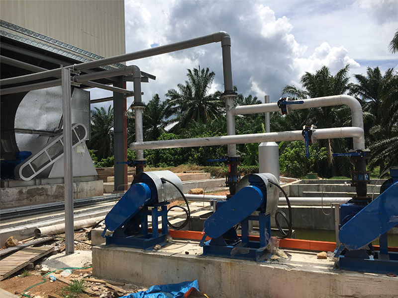 生物质（棕榈壳）锅炉除尘项目